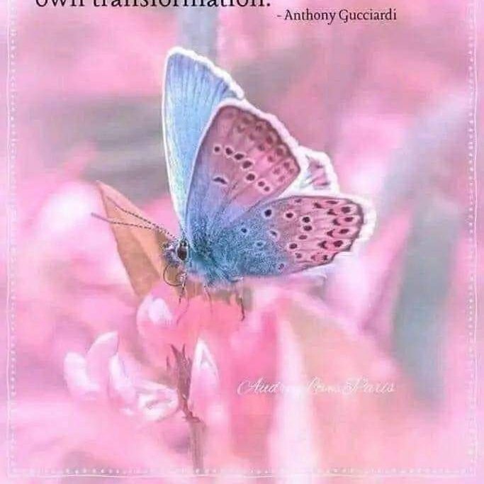 MansonAdams's tweet image. #NewProfilePic