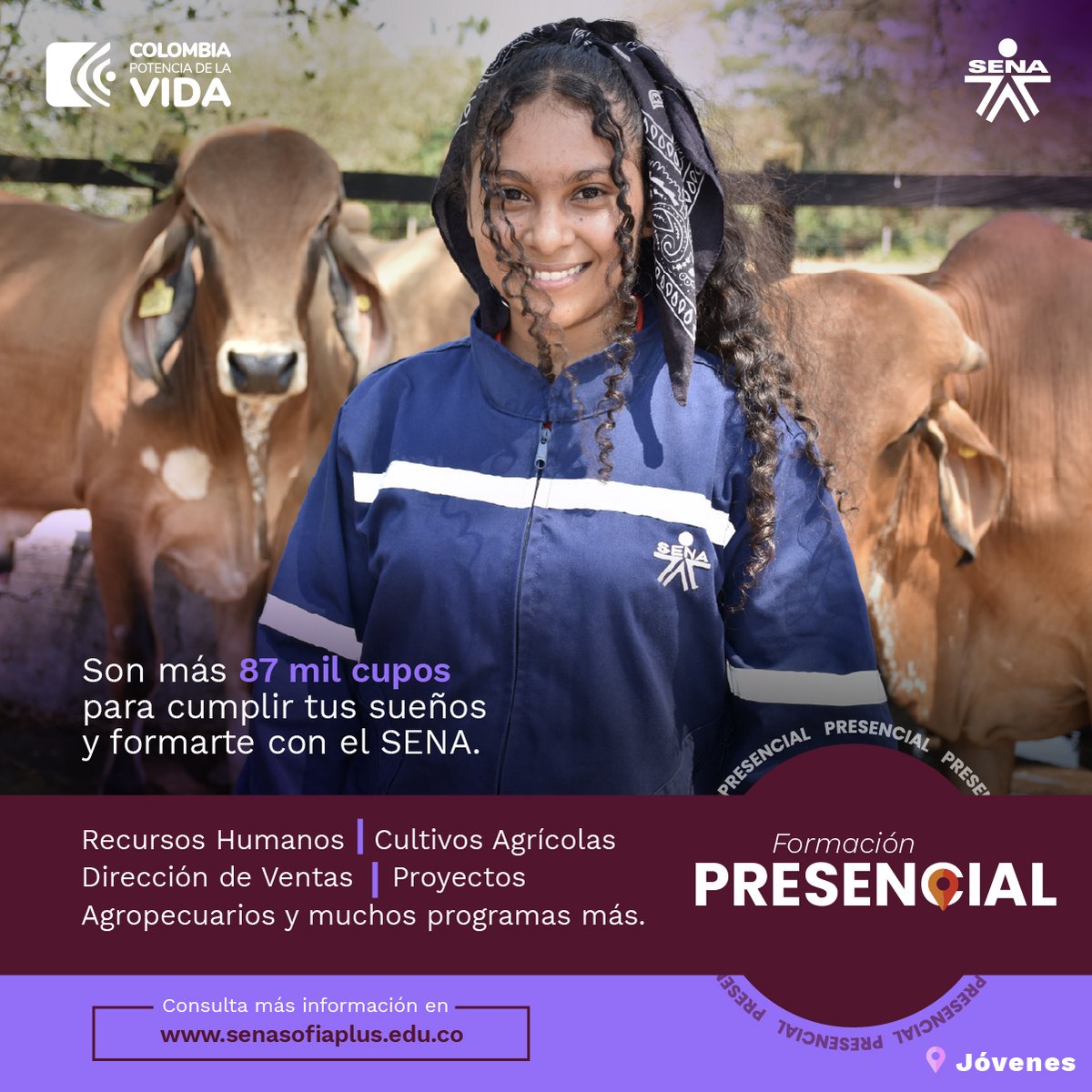 SENA_Antioquia's tweet photo. Llegó el momento de formarte con el SENA 👩🏽‍🎓.
¿Cómo? Para comenzar debes ingresar 🧑‍💻 a
https://t.co/MJ5FPtXwun #EstudiaEnElSENA https://t.co/6lvUjSnVHE