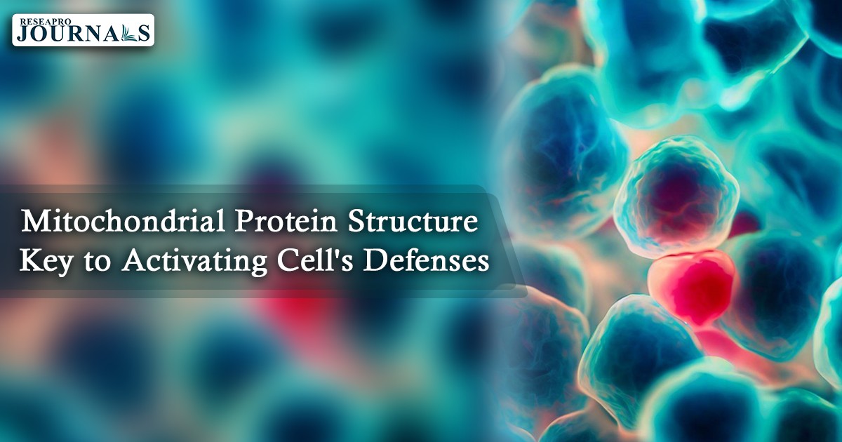 ReseaproCBDS's tweet photo. #Scientists at #ScrippsResearch discover new ways to fight age-related diseases by targeting #DELE1 protein. @ISR_pathway is critical for cell health but impaired in many age-related diseases. New treatments for #neurodegenerativediseases, #cancer, and #heartdisease possible! https://t.co/z9zvGnLgPb