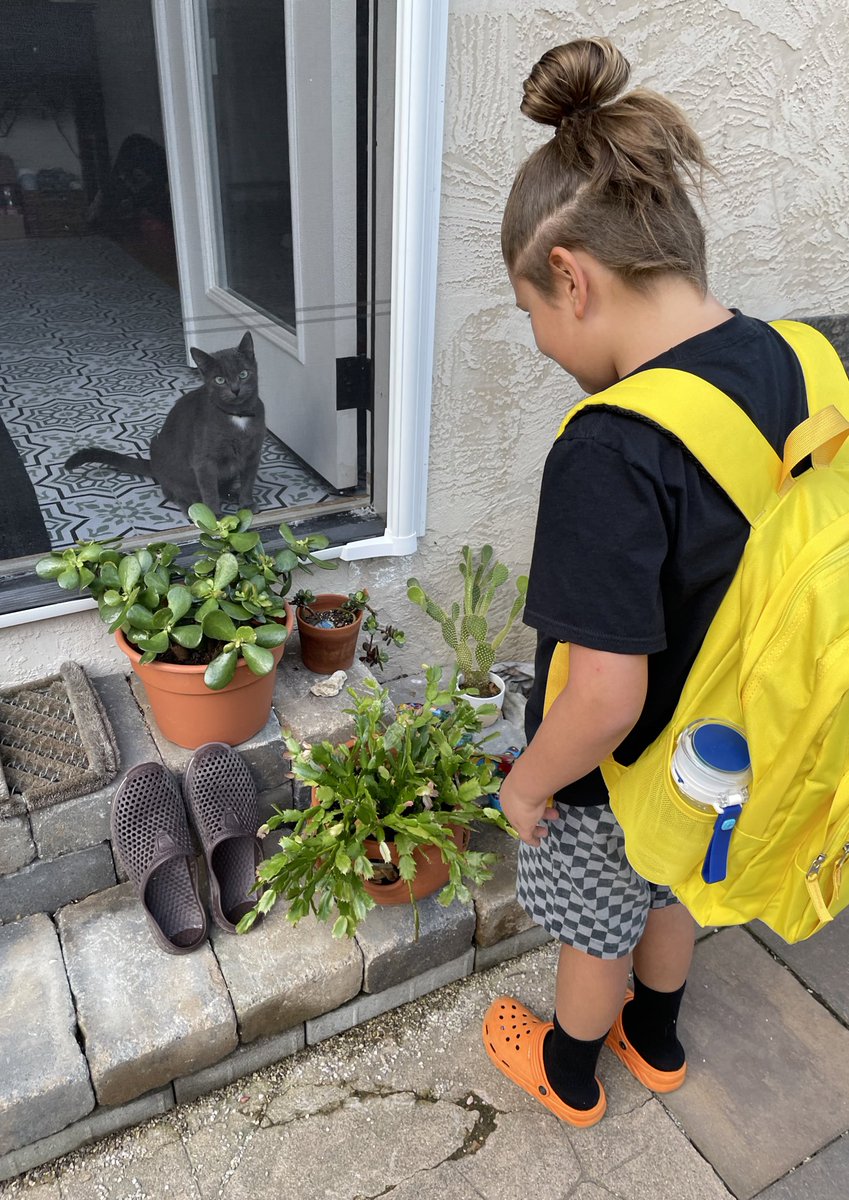 ⭐️Ro tweet media