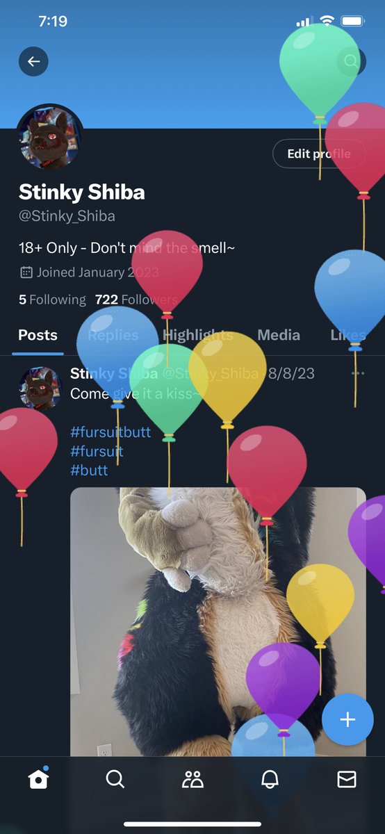 Stinky_Shiba's tweet photo. I should sit on these balloons~ but it’s that time of year again! https://t.co/T1jaRyyMgH