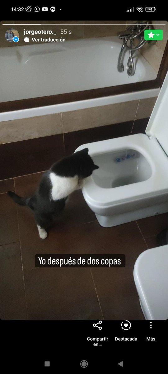 _jorgeg_23's tweet photo. @germanpf33 https://t.co/Nshnsz6jv2
