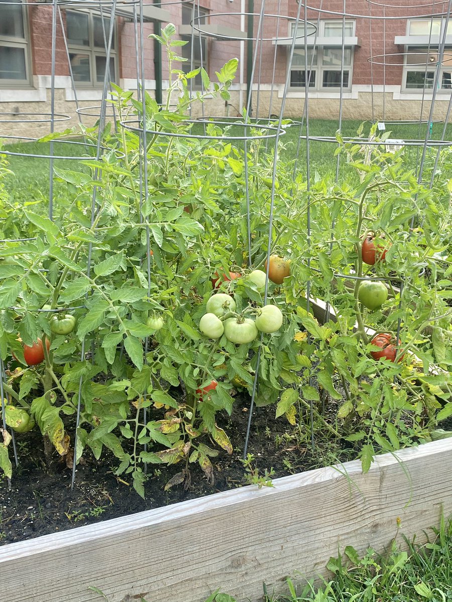 Kristen Maiello tweet media