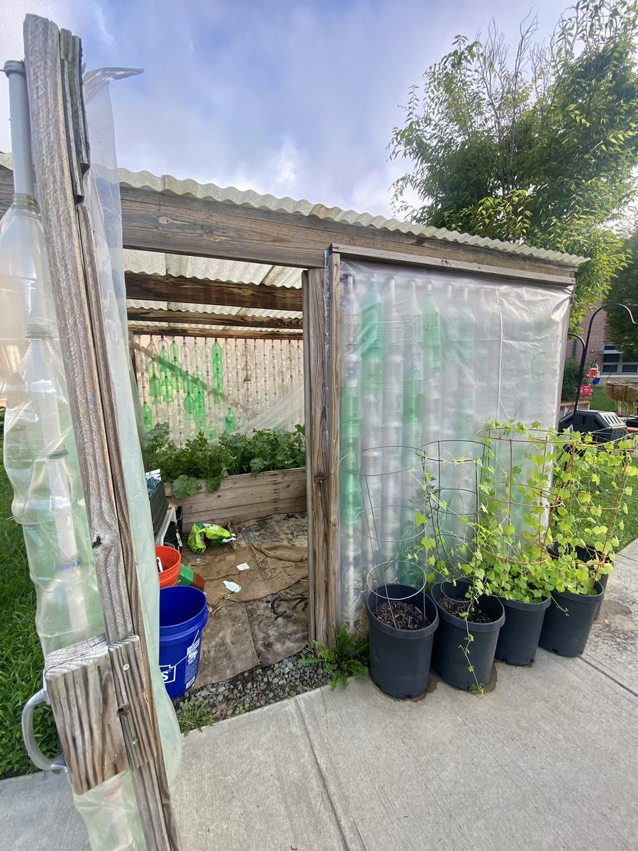 Kristen Maiello tweet media