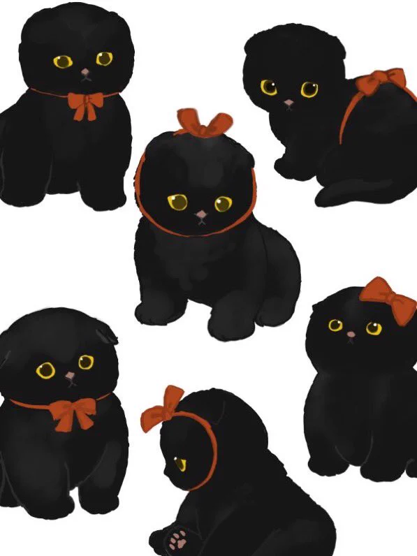 黒猫（感謝） ぢゅの🐈 on X: 