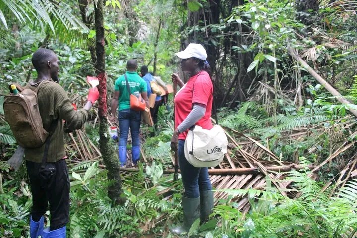 Carried out by local communities in the northern zone of Deng Deng National Park, the operation to refresh 33 km of the #protectedarea's limbs in 3 villages is part of the PNDD #Conservation optimization project. More details 👇🏾 
saild.org/les-communaute…
#BIOPAMA