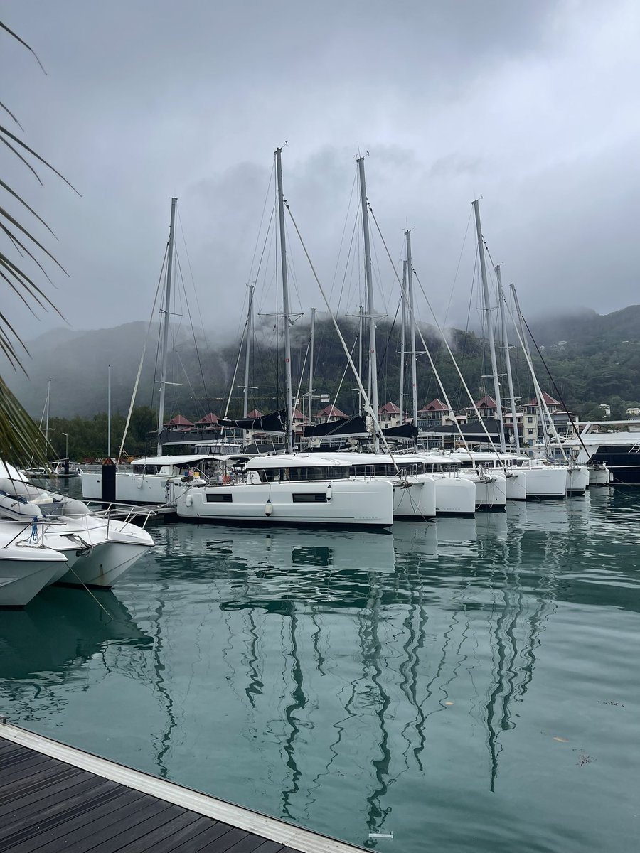 Myra__rs's tweet photo. Seychelles beauty 🌸 https://t.co/qwS2tbhAWl