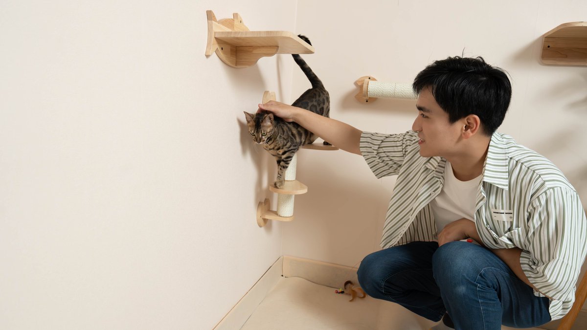 Create a multi-level cat activity space with cat wall shelves. Let cats play and rest at home, choose cat wall shelves of different heights and shapes,create vertical passages,set up a comfortable rest area, and satisfy the curiosity and vitality of cats. petomg.com