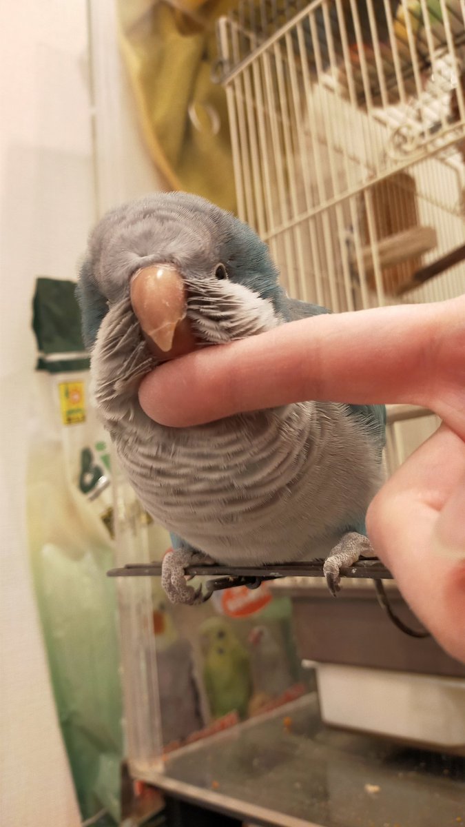 Tweet media one
