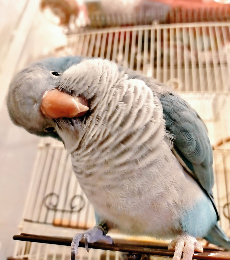 Tweet media one
