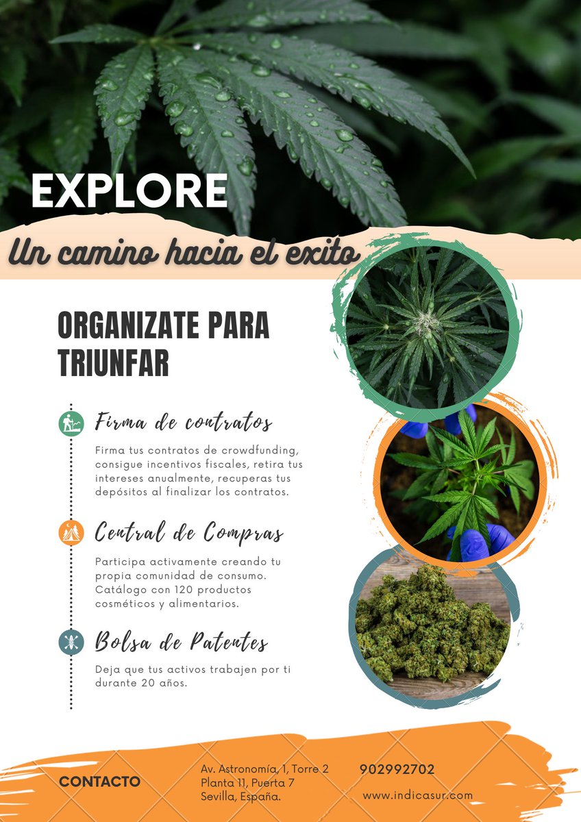 IndicaSur's tweet photo. Oportunidad de negocio para microinversores 📢💰💰💰🌱🌱🌱🌱🌱 https://t.co/IcDKJObmTo