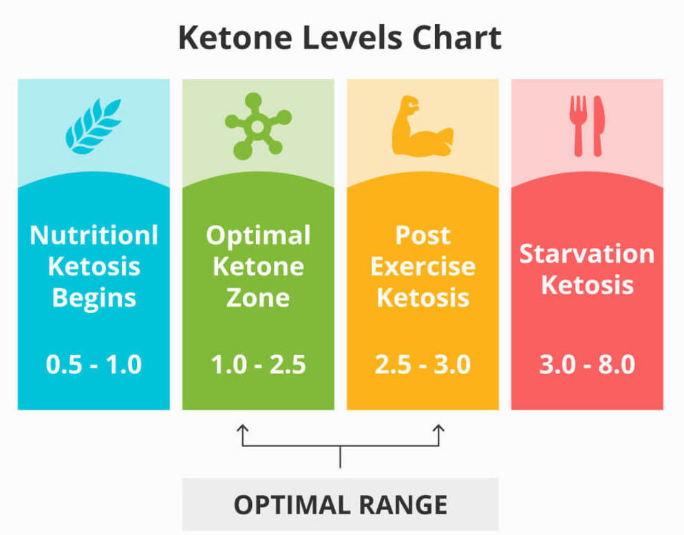SalmoApp's tweet photo. Our blog post "Breaking the Ketosis Code: Why Am I Not In Ketosis and How to Get Back On Track". Learn the key principles and best practices to kickstart your Keto journey - https://t.co/HJfJcZIOB6
#keto #ketodiet https://t.co/sNBS6xE1fn