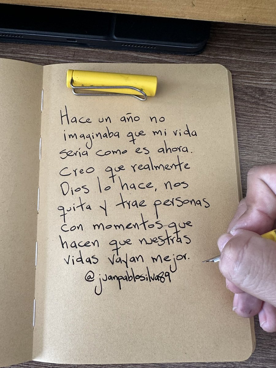 🌻 tweet media