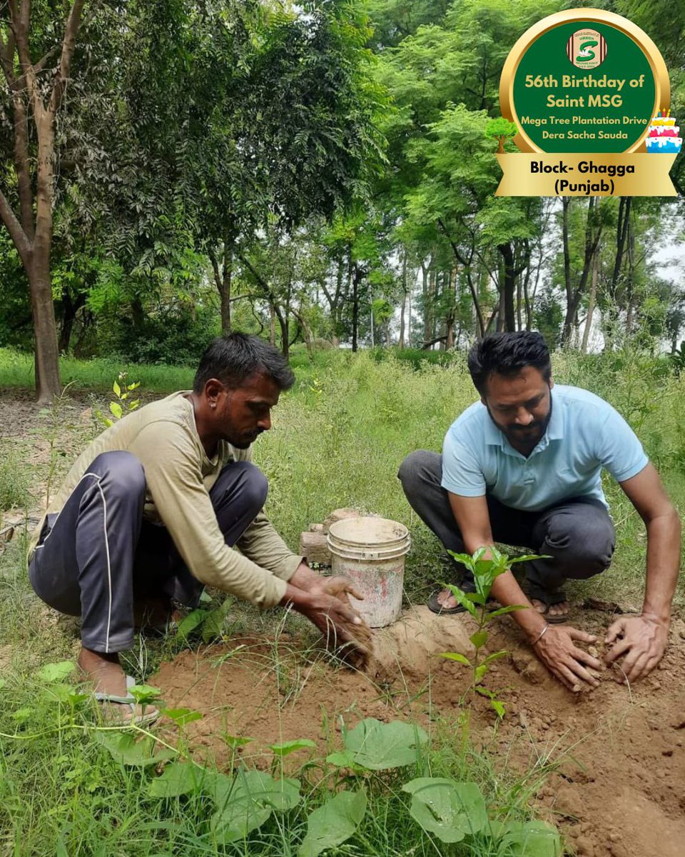 GreenSwelfares's tweet photo. Trees are the earth’s life supportive network. Planting trees can be an asset to your entire community! Inspired by the teachings of Saint Dr MSG Insan, volunteers of Dera Sacha Sauda are celebrating MSG Bhandara by planting more trees. 

#TreePlantation #SaintDrMSG #DeraSachaSauda #56thBirthdayOfSaintMSG #56thBirthdayWithTreePlantation #15thAugust