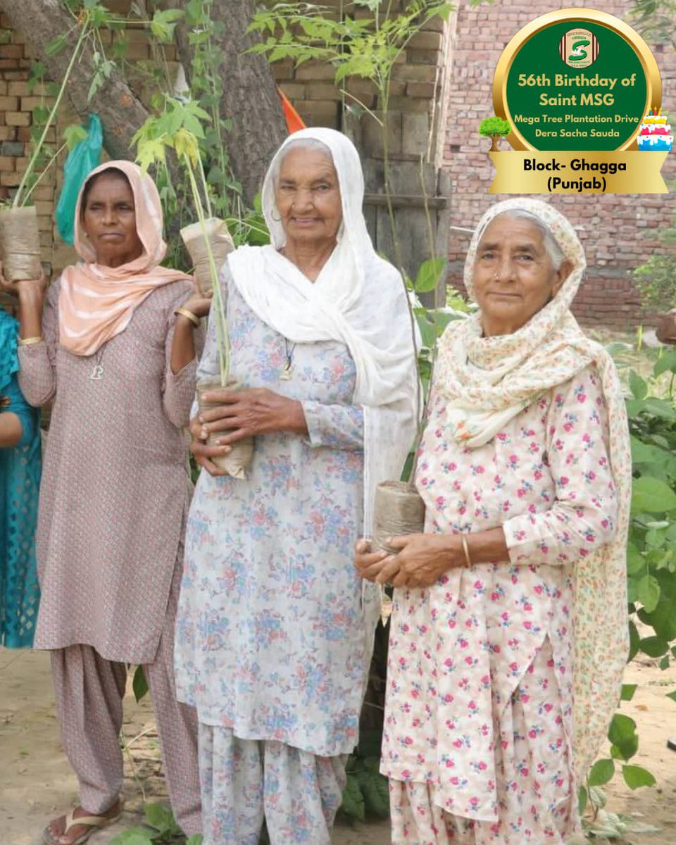 GreenSwelfares's tweet photo. Trees are the earth’s life supportive network. Planting trees can be an asset to your entire community! Inspired by the teachings of Saint Dr MSG Insan, volunteers of Dera Sacha Sauda are celebrating MSG Bhandara by planting more trees. 

#TreePlantation #SaintDrMSG #DeraSachaSauda #56thBirthdayOfSaintMSG #56thBirthdayWithTreePlantation #15thAugust