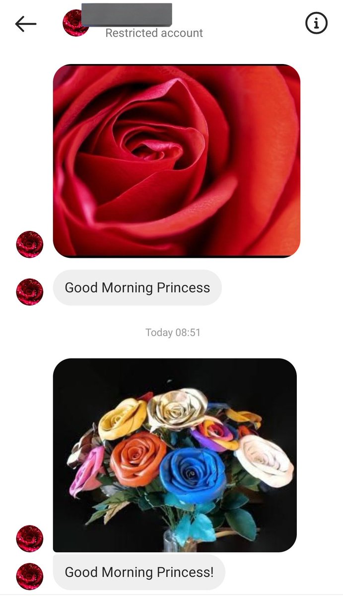 nakhrewaali_'s tweet photo. most consistent guy ever. 🌹🥰 #instadms https://t.co/bytvo4xtJu