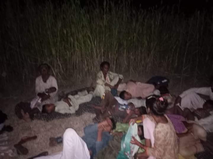 OfficialShehr's tweet photo. ہمارے ملک کی مسیحی برادری کے لوگوں نے اپنی جانیں بچا کر رات کھیتوں میں گزاری ۔۔۔۔ کدھر تھے ڈپٹی کمشنر فیصل آباد ؟۔۔۔فیصل آباد میں موجود اتنے بڑے بڑے سرکاری ریسٹ ہاؤسز میں ایک رات کے لیے آپ اپنی مسیحی برادری کے لوگوں کو ٹھہرا نہیں سکتے تھے ؟؟ان کے گھر تو بچا نہ سکے ان کو دلاسہ ہی دے لیتے 
#JaranwalaIncident 
#Faisalabad