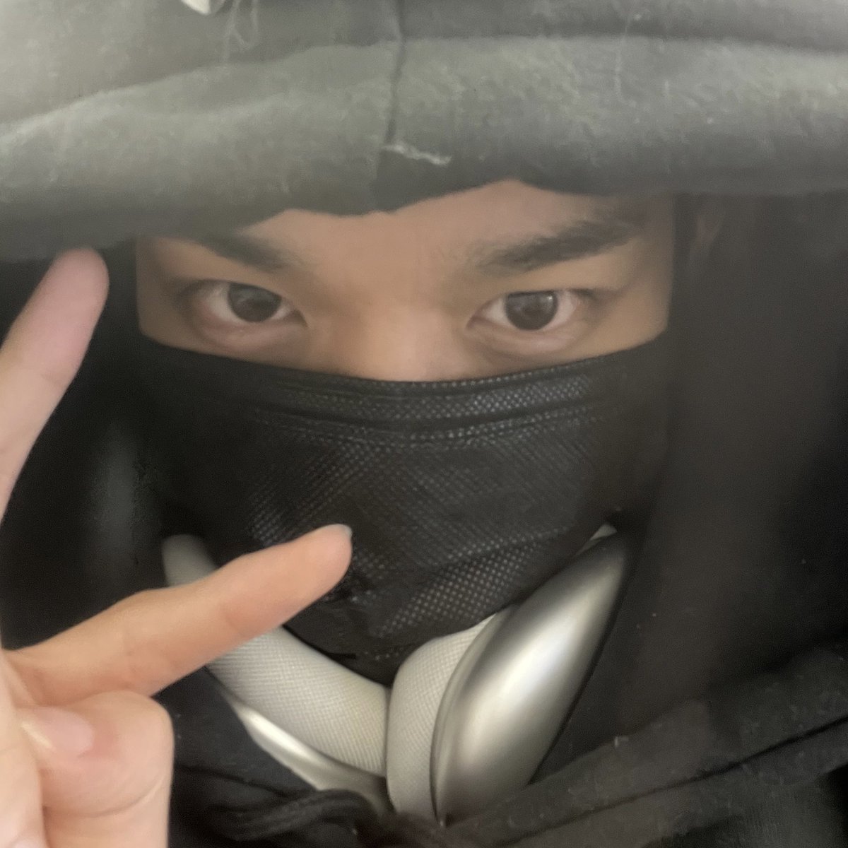 봄날 tweet media
