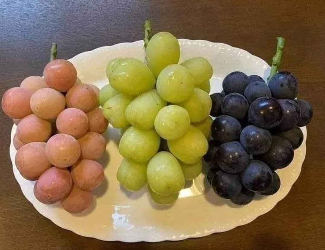 HudaTVChannel's tweet photo. They are all irrigated with the same water, yet We make some taste better than others. Surely in this are signs for those who understand. https://t.co/JX5g0W9OVx