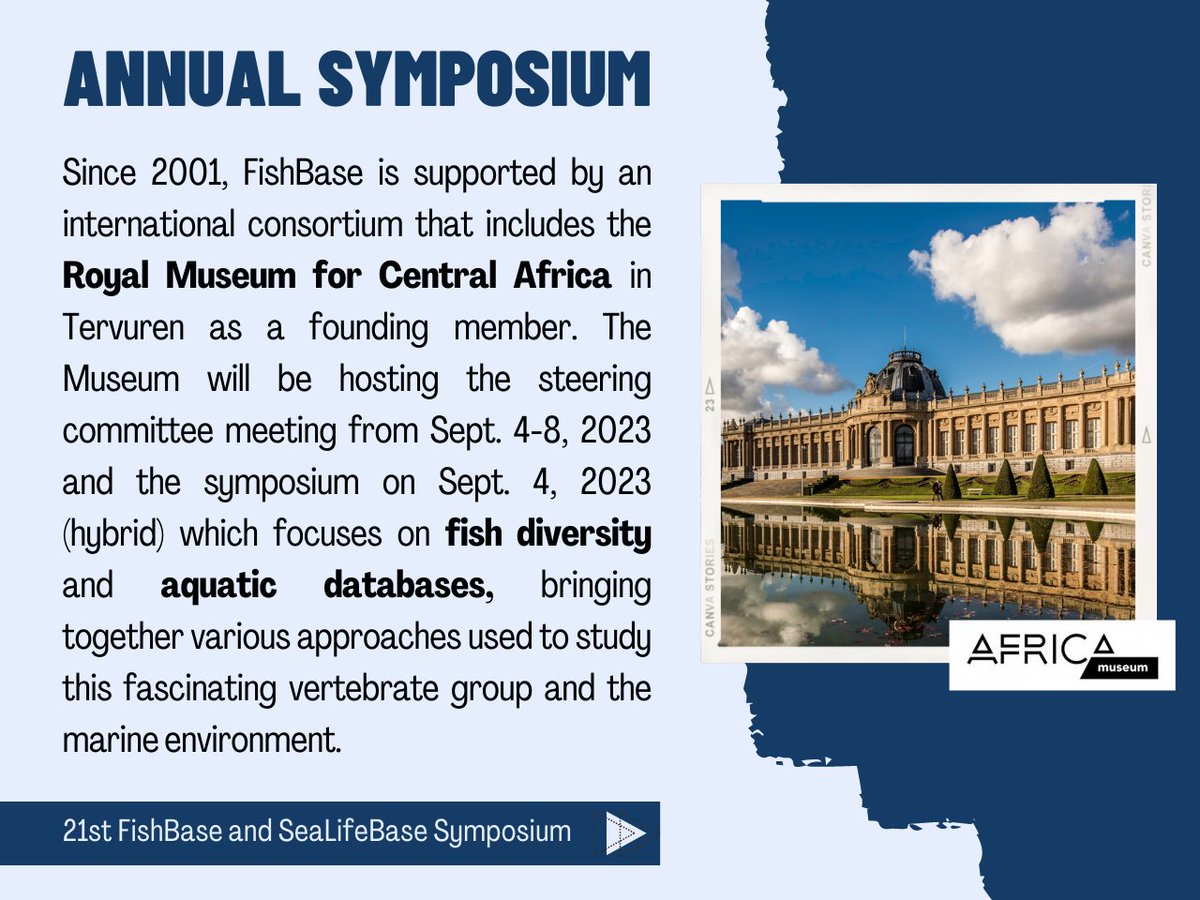 FishBaseProject's tweet photo. 🌊Do you want to be part of the action at the 21st #FishBase and #SeaLifeBase Symposium happening @africamuseumbe on September 4th? Here's your guide 👇 #RMCA #Tervuren #fishdiversity #aquaticdatabases #danielpauly #rainerfroese #fishbaseguide https://t.co/M0ormXqnhB