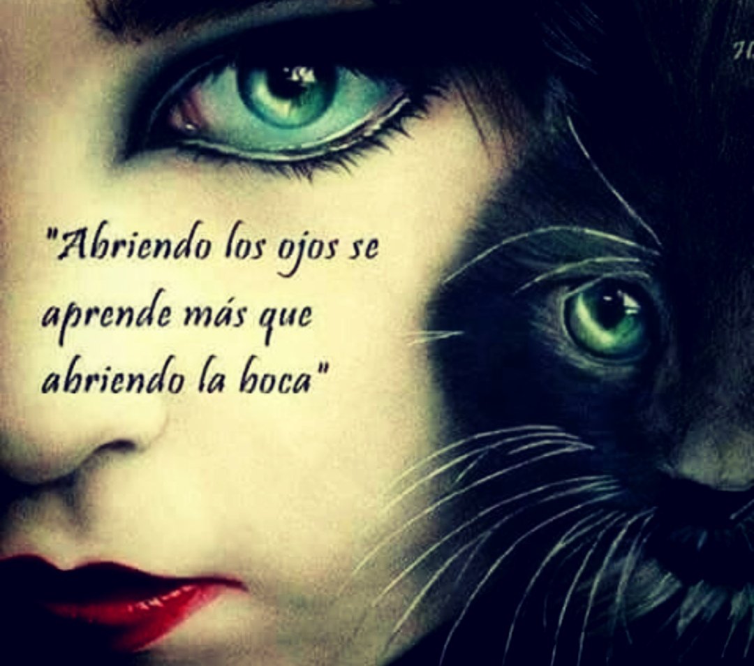 Marise_71's tweet photo. https://t.co/shMKQnr28j