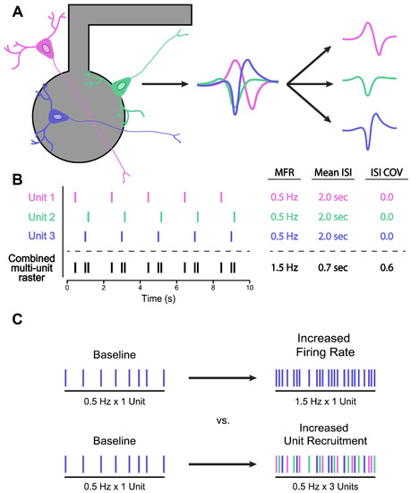 Biology_MDPI's tweet photo. #Highlight_Paper Series_Sharing
Multielectrode Arrays for Functional Phenotyping of Neurons from Induced Pluripotent Stem Cell Models of Neurodevelopmental Disorders https://t.co/NgNWt1DwyE via @Biology_MDPI @UofT @SickKidsNews @WesternU
#neurodevelopmental_disorders https://t.co/EyiajleFML