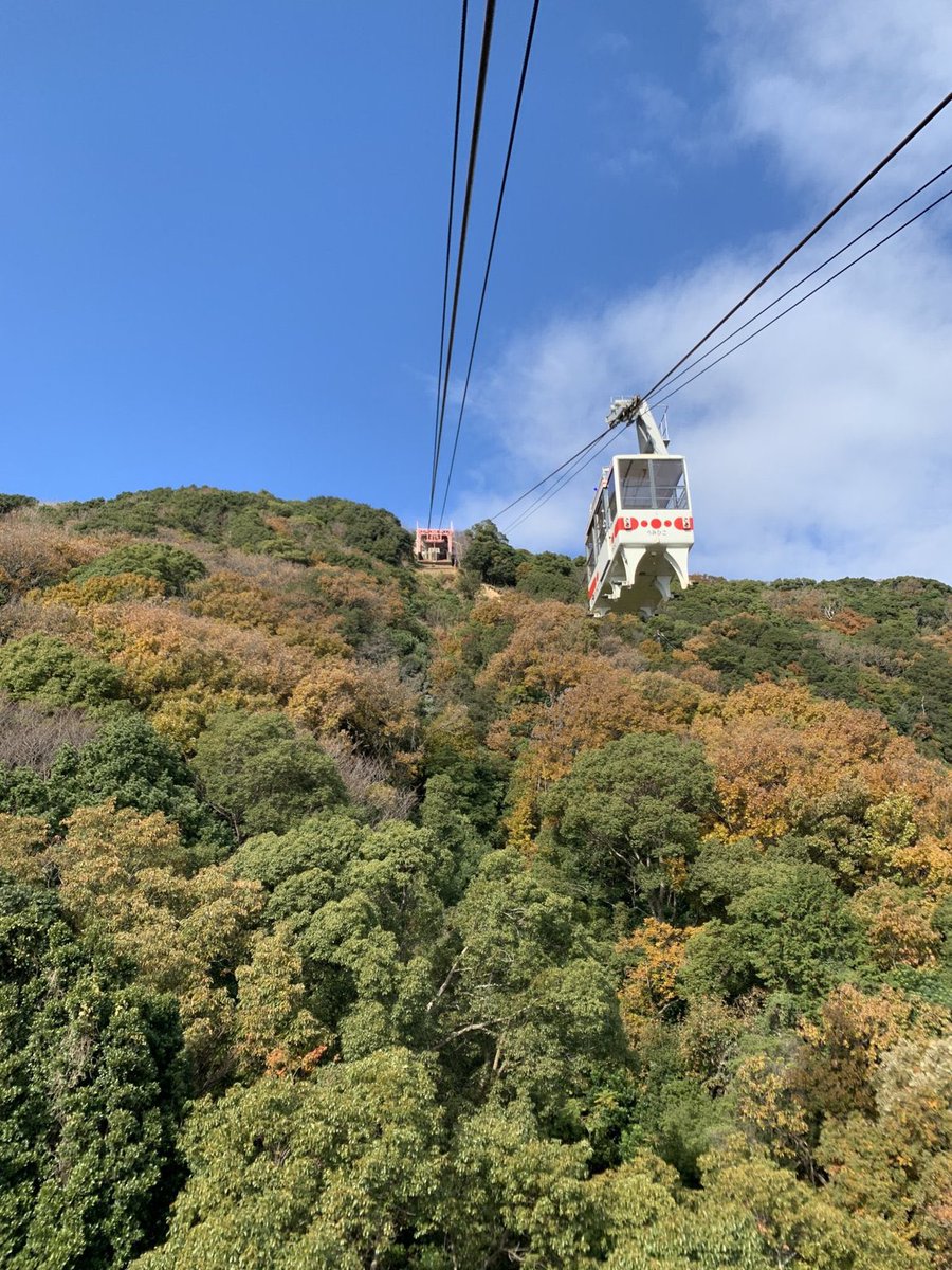 halohalo_travel's tweet photo. 無料/格安で楽しめる関西のおでかけスポット🚗

【大阪】明治
【大阪】サントリー 山崎蒸溜所
【大阪】アサヒビール
【大阪】ライオン
【大阪】京阪電気鉄道 寝屋川車両基地
【大阪】阪急電鉄 正雀工場
【大阪】朝日新聞
【大阪】造幣局
【大阪】NHK大阪放送局
【大阪】環境局 夢洲工場
【大阪】ダスキンミュージアム（ミスタードーナツ
【大阪】森野サンプル 食品サンプル
【大阪】カップヌードルミュージアム
【大阪】五月山動物園
【大阪】天王寺動物園
【大阪】大阪城公園
【大阪】万博記念公園
【大阪】道頓堀 戎橋（グリコ 
【大阪】通天閣（新世界
【大阪】千里川土手（飛行機大迫力
【大阪】関西国際空港 展望台
【大阪】あべのハルカス
【大阪】難波八阪神社
【大阪】ほしだ園地（星のブランコ
【大阪】アメリカ村
【京都】雪印メグミルク
【京都】コカ・コーラ
【京都】サントリー ビール
【京都】おたべ本館 生八つ橋
【京都】月桂冠
【京都】黄桜
【京都】丹波ワイン
【京都】スターバックス 三条大橋店（納涼床
【京都】嵐山（竹林
【京都】祇園エリア（花見小路通
【京都】二寧坂
【京都】八坂通
【京都】京都御所
【京都】二条城
【京都】清水寺
【京都】東寺
【京都】禅林寺 永観堂
【京都】南禅寺
【京都】南禅寺参道のブルーボトルコーヒー
【京都】平等院
【京都】本能寺
【京都】高台寺
【京都】龍安寺（庭園
【京都】鹿苑寺（金閣寺
【京都】慈照寺（銀閣寺
【京都】神泉苑
【京都】平安神宮
【京都】北野天満宮
【京都】西本願寺
【京都】八坂神社
【京都】上賀茂神社
【京都】貴船神社
【京都】下鴨神社
【京都】伏見稲荷大社
【京都】三十三間堂
【京都】八坂庚申堂
【京都】円山公園
【京都】京都市動物園
【京都】京都水族館
【京都】鉄道博物館
【京都】京都国立博物館
【京都】京都国際マンガミュージアム
【京都】天橋立
【兵庫】雪印メグミルク
【兵庫】グリコ
【兵庫】森永
【兵庫】キューピー
【兵庫】ヒガシマル醤油
【兵庫】アサヒ飲料 三ツ矢サイダー
【兵庫】ヤクルト
【兵庫】かねふく めんたいパーク
【兵庫】揖保乃糸 そうめん
【兵庫】ヤマサ蒲鉾 かまぼこ
【兵庫】ハトヤ かまぼこ
【兵庫】御座候 あずき
【兵庫】神戸ワイナリー
【兵庫】キリンビール
【兵庫】神戸酒心館
【兵庫】沢の鶴資料館 · 
【兵庫】白鶴酒造資料館
【兵庫】菊正宗酒造記念館
【兵庫】たこせんべいの里
【兵庫】吹き戻しの里 おもちゃ
【兵庫】tamaki niime
【兵庫】西宮神社
【兵庫】姫路城
【兵庫】ハーバーランド
【兵庫】南京町（中華街
【兵庫】北野異人館
【兵庫】布引ハーブ園
【兵庫】あわじ花さじき
【兵庫】鳴門渦潮
【兵庫】摩耶山（夜景
【兵庫】須磨離宮公園
【兵庫】明石海峡公園
【兵庫】王子動物園
【兵庫】神戸動どうぶつ王国
【兵庫】城崎マリンワールド
【兵庫】自然体験展望台 六甲枝垂れ
【兵庫】有馬温泉
【滋賀】かねふく めんたいパーク琵琶湖
【滋賀】キリンビール/ビバレッジ
【滋賀】UCC コーヒー
【滋賀】国立印刷局 彦根工場
【滋賀】コクヨ ノート
【滋賀】ヤンマーミュージアム
【滋賀】メンターム資料館
【滋賀】TOTO
【滋賀】琵琶湖博物館
【滋賀】びわ湖大津館
【滋賀】白鬚神社
【滋賀】びわ湖こどもの国
【滋賀】ローザンベリー多和田
【滋賀】南郷水産センター
【滋賀】ロクハ公園
【滋賀】第一なぎさ公園
【滋賀】あいとうマーガレットステーション
【和歌山】紀州梅干館
【和歌山】岩本食品 梅干
【和歌山】和歌山城
【和歌山】紀三井寺
【和歌山】熊野那智大社
【和歌山】紀州東照宮
【和歌山】養翠園
【和歌山】番所庭園
【和歌山】自然博物館
【和歌山】串本海中公園
【和歌山】白良浜海水浴場
【和歌山】とれとれ市場
【和歌山】アドベンチャーワールド
【和歌山】ポルトヨーロッパ
【和歌山】マリーナシティ
【和歌山】友ヶ島
【奈良】長龍酒造
【奈良】広陵蔵（お酒
【奈良】NHK奈良放送局
【奈良】セキスイハイム
【奈良】梅谷味噌醤油
【奈良】東大寺
【奈良】奈良公園
【奈良】平城宮跡歴史公園
【奈良】若草山
【奈良】吉野山
【奈良】生駒山
【奈良】春日大社
【奈良】薬師寺
【奈良】興福寺
【奈良】般若寺
【奈良】唐招提寺
【奈良】国立博物館
【奈良】正倉院
【奈良】曽爾高原
【奈良】谷瀬の吊り橋
【奈良】みたらい渓谷

※他にも素敵なスポットありましたらリプ欄で教えてください🚗
※工場見学は事前予約制、休止中に注意