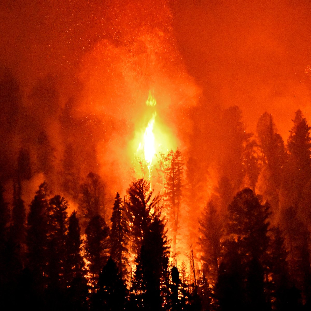 Due to climate change, wildfires have increased significantly 

Qdot is developing a sustainable solution: a battery-fuel cell hybrid VTOL UAV: 
Modular and adaptable 
Manoeuvrable 
Vertical take-off and landing
Only emits H2O. 
Flies for longer while only emitting H2O.