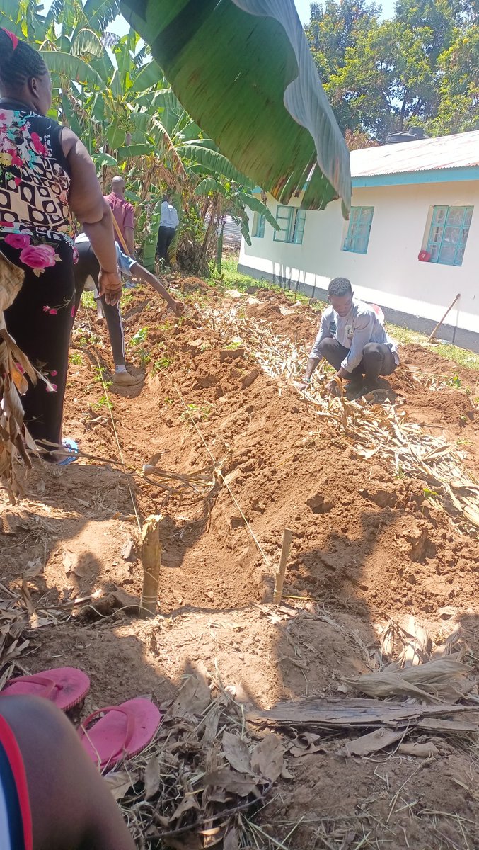 DemandPrime's tweet photo. The second and the third day of the Permaculture Workshop incorporated syntrophic Food forest, a natural, sustainable food production. We are introduced to Mushroom farming, being famous for its rich nutrients, it is of interest to us as it perfectly matches our objective. https://t.co/kMKQIoM36q