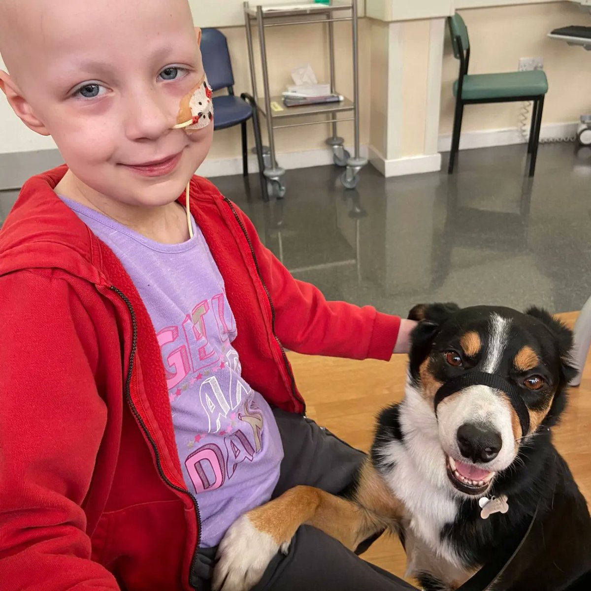 MidlandsPaedRT's tweet image. Here is Freya with our furry friend Chase after being so brave with her first session of #radiotherapy @uhbtrust! Tuesday is clinic day, a slightly longer day made easier by our friends at Pets in Hospital supported by @uhbcharity. @UHBCancer