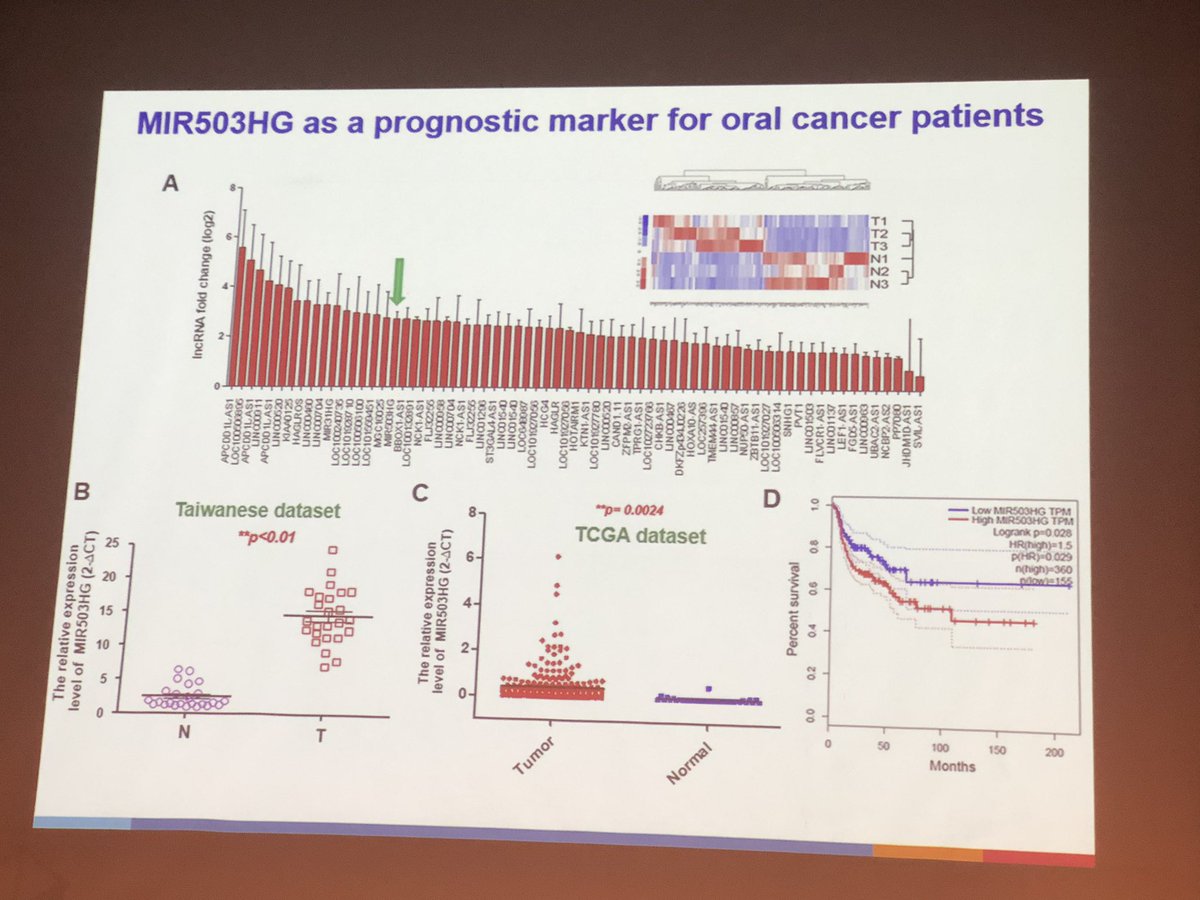 The first day has ended with a excellent research on ‘Non-coding RNAs as Theranostic Targets for Oral Cancer Stem Cells and Oral Submucous Fibrosis’ 
Great talk by Prof. Cheng-Chia Yu
#IAOP2023 #oralpath