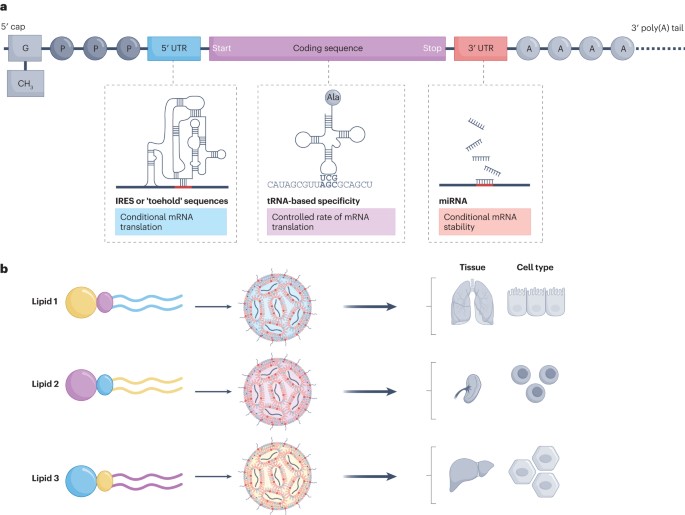 NatureRevClinOncol tweet media