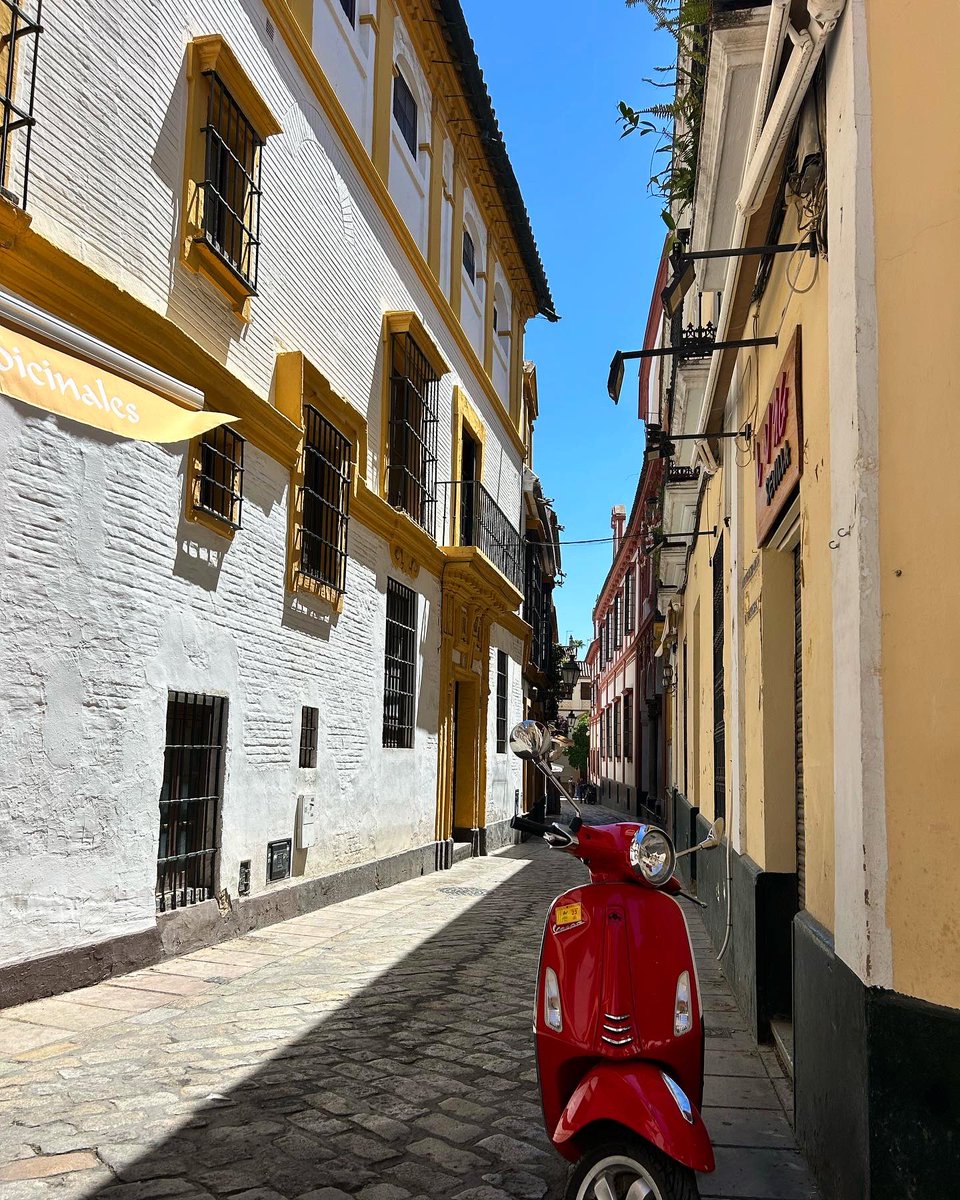 Miss Howarth PE tweet media