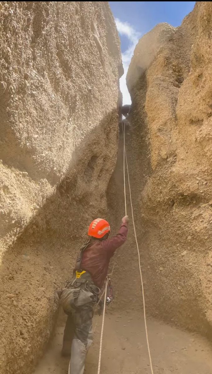 DIPR_Leh's tweet photo. Update on rescue mission at Pang- 

After the recce in the area, some goats were found stranded in a deep gorge. UTDRF personnel swiftly took action, using ropes to successfully recover 27 of the stranded livestock today.

@LAHDC_LEH 
@DC_Leh_Official 
@prasarbharti https://t.co/UuzK2sFXzH