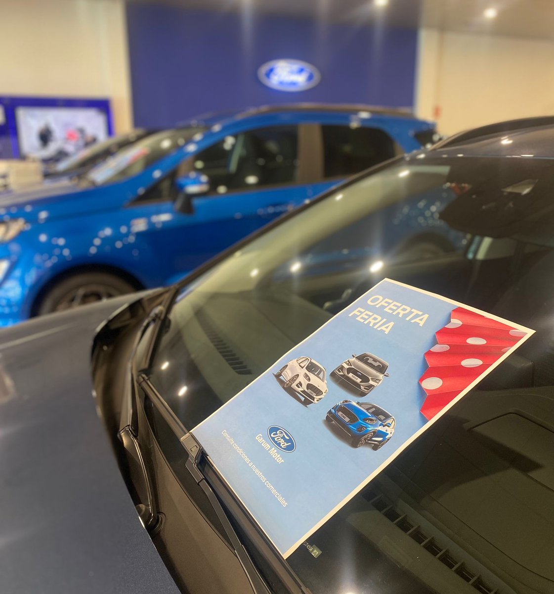 Seguimos de feria y en Garum Motor nos gusta celebrarla de la mejor forma 💃 No os podéis perder las ofertas especiales que tenemos durante esta semana 🤩 ¡Os esperamos en Málaga y Vélez-Málaga!