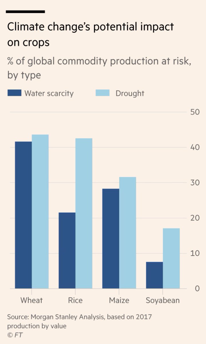 Alastair Trickett tweet media