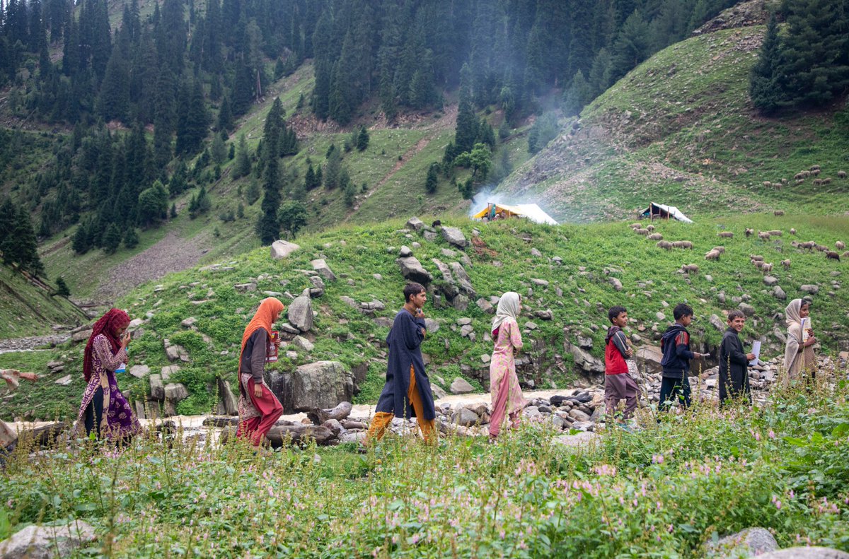 Young tribal children on way to mobile school in Gurez. Photograph by @umeerasif for The Kashmir Walla