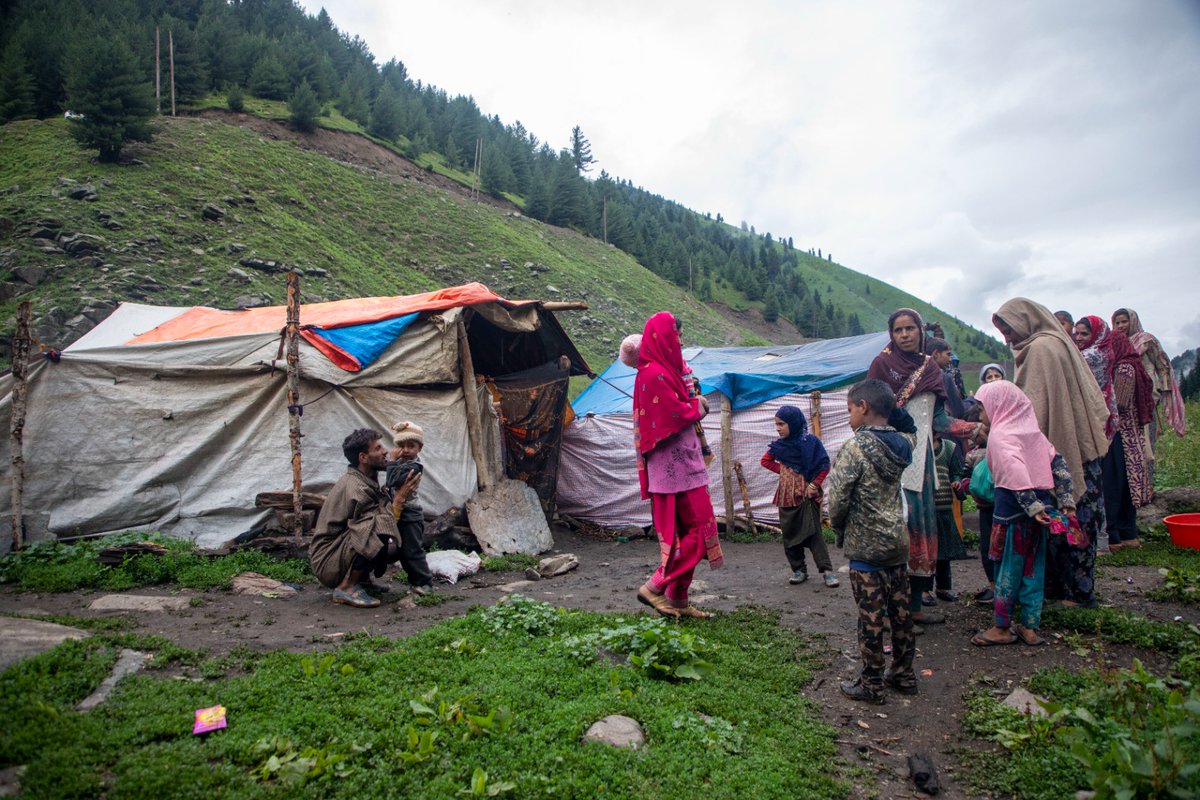 The Kashmir Walla tweet media