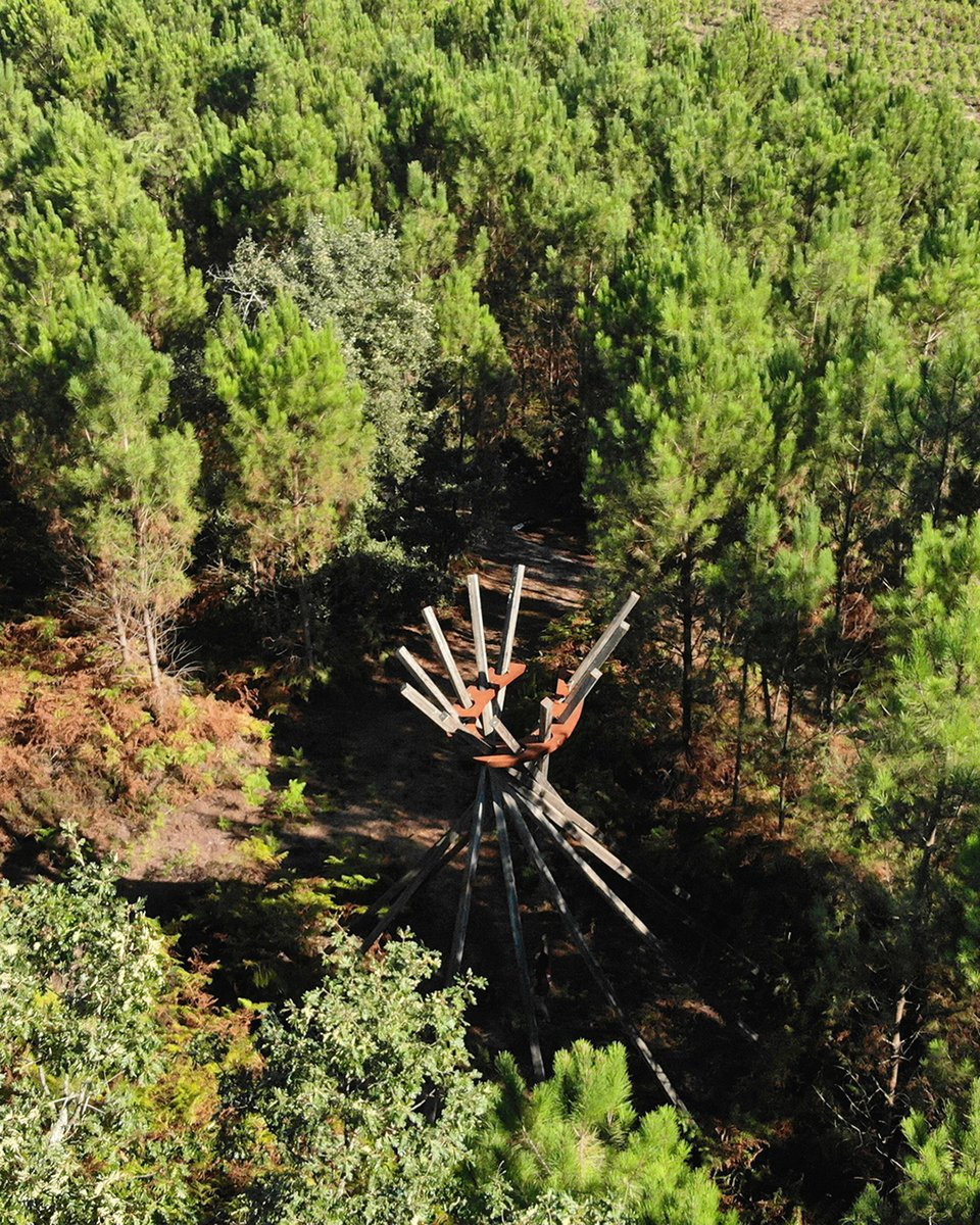 Les_Landes's tweet photo. Quand l'art se dissimule au milieu de la forêt landaise 🌲

Des œuvres géantes qui viennent parfois côtoyer la cime des pins, c'est ce que vous propose de découvrir la Forêt d'Art Contemporain. Un dispositif artistique unique en France 😮

#JeudiPhoto #Landes #France https://t.co/vTLwXmHHAE