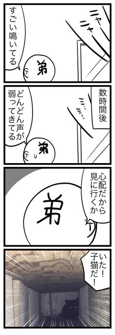 こんな感じで保護しましたにゃん #黒猫感謝の日 