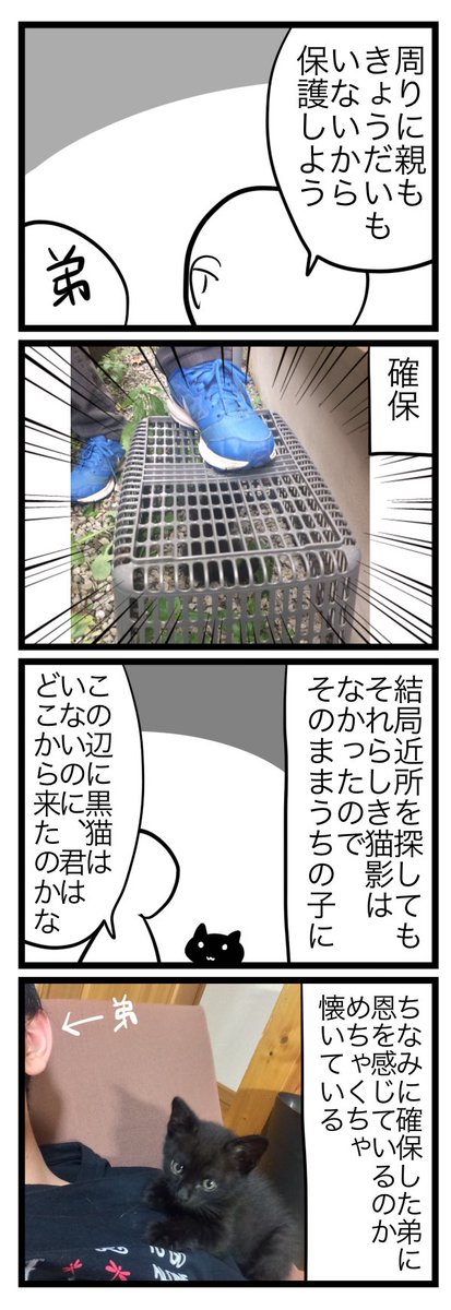 こんな感じで保護しましたにゃん #黒猫感謝の日 