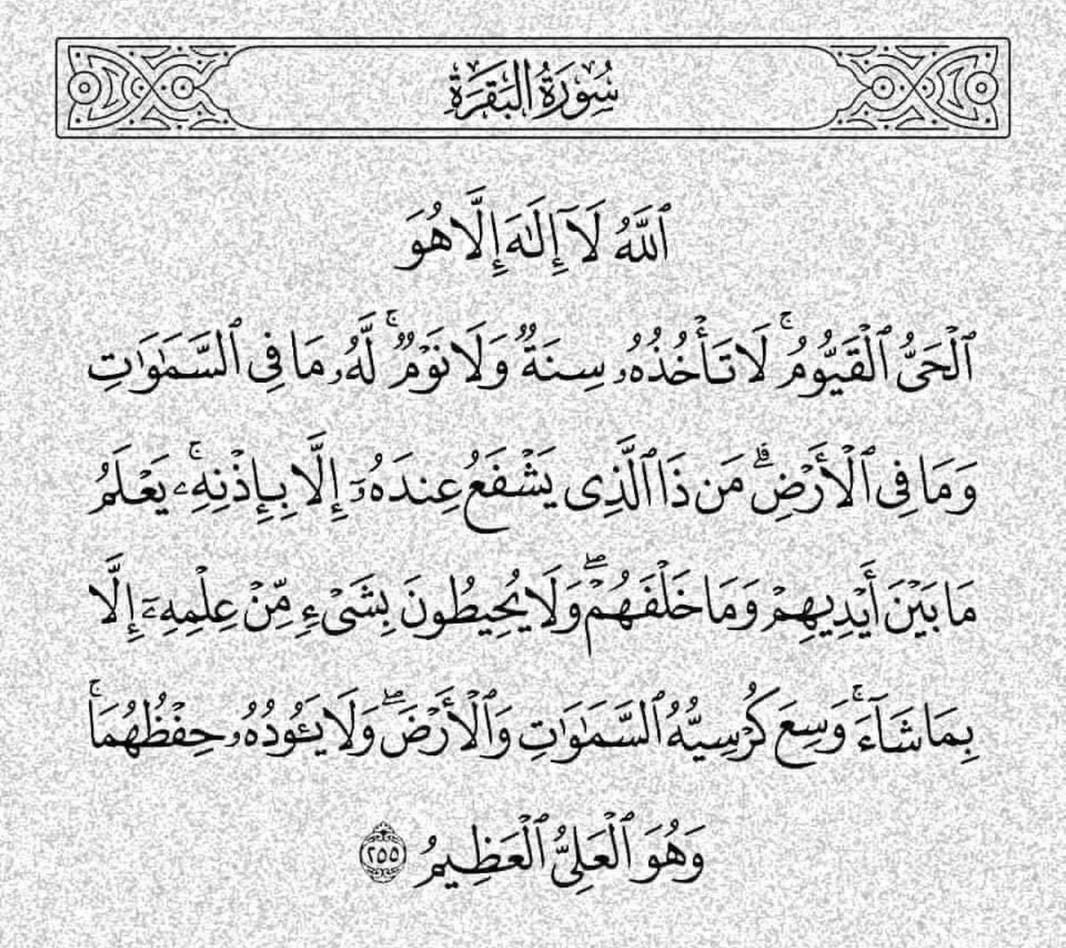 _awrad9's tweet photo. https://t.co/9PypAT4Y7q