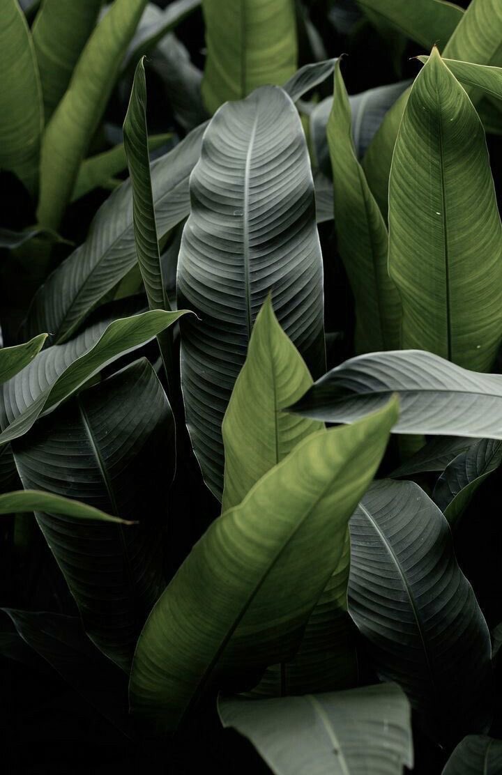 envogueover40's tweet photo. Do you like the color green?
#green #color https://t.co/DdaE7UbgNp