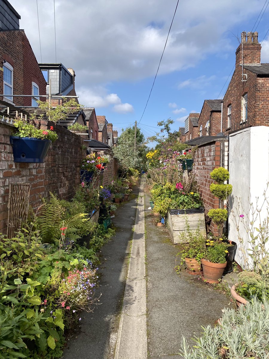 Have you tried greening your alleyway? We’d love to hear about your experiences - whether you have tried and failed, are just starting out or have a lovely established green alleyway like the one pictured here. #MossSide #AlleywayGreening #KeepManchesterTidy