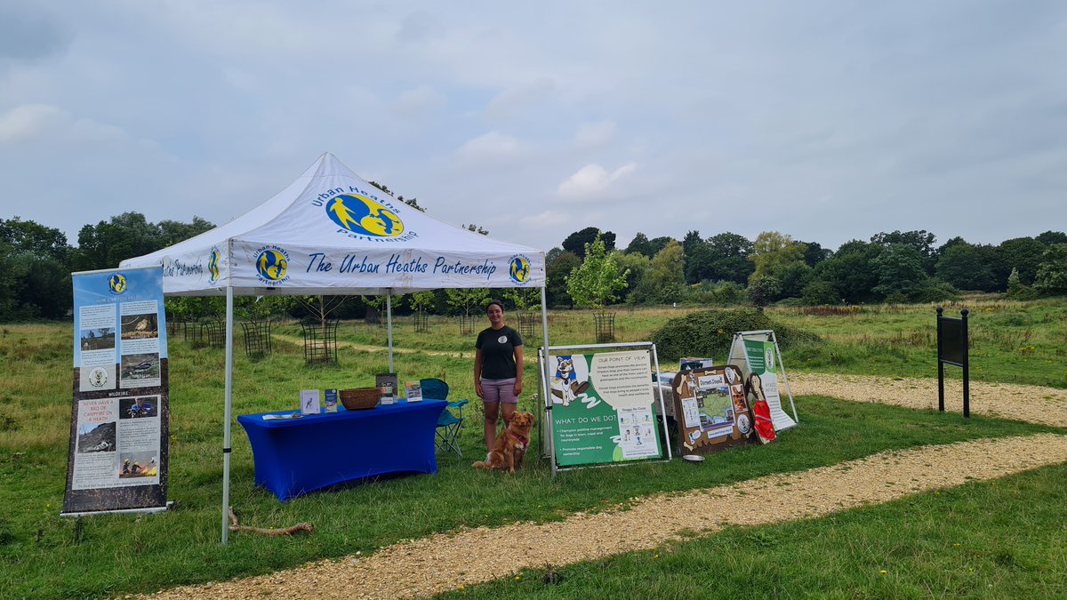 DorsetHeaths's tweet image. Come and say hello to Heathland Warden Amy and Dorset Dogs Officer Caitlin at Holmwood SANG 10am-2pm today. 
They have lots of info on places to walk your dog and how to help protect the nearby heathland reserves and wildlife. 
#dorsetdogs #pawsonthepath #lovedogslovenature