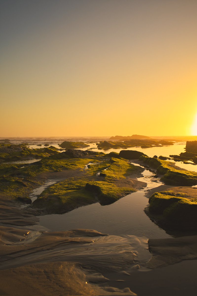KavvkaVisuals's tweet photo. Home spot
#photography #sunset https://t.co/tYCGfsbj66