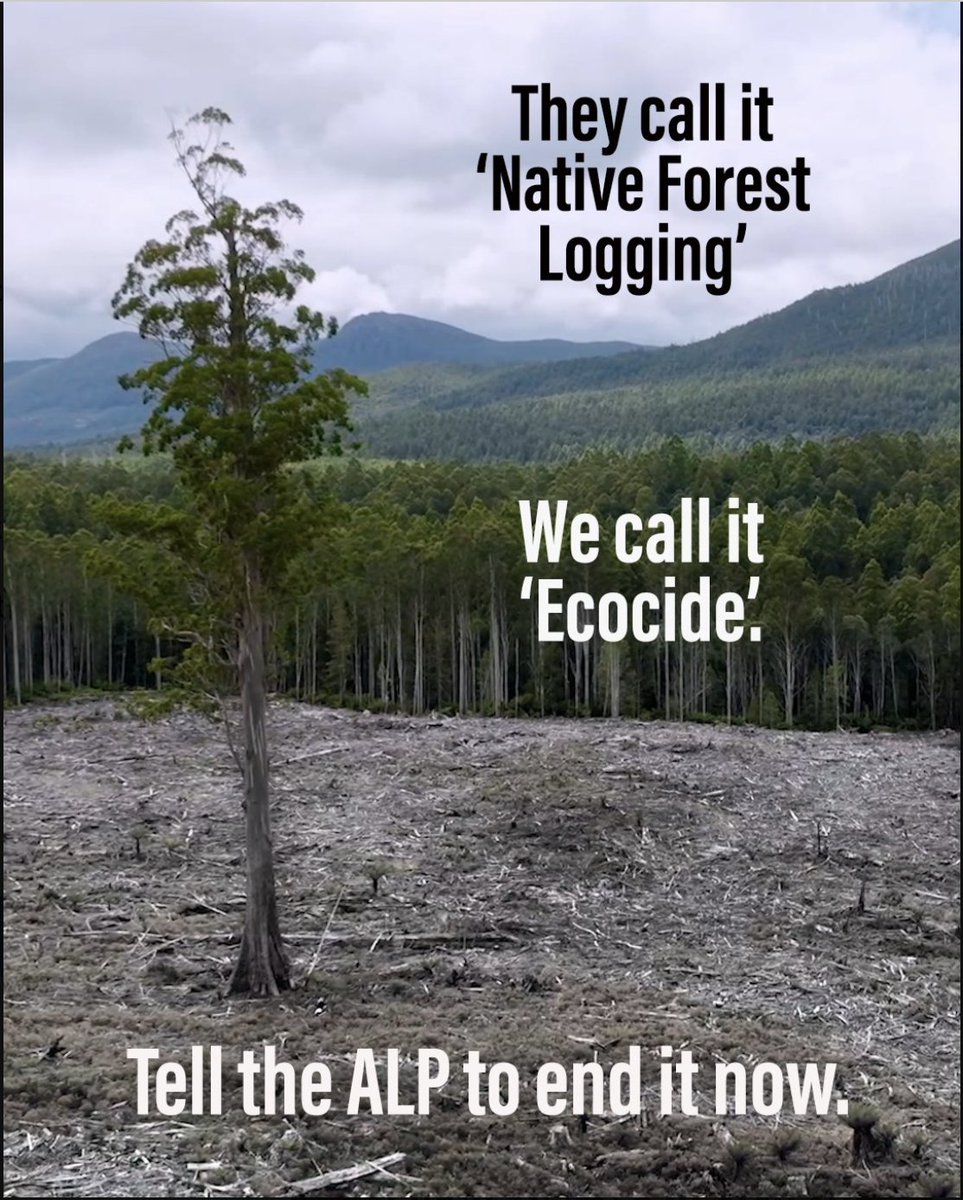 <a href="/tanya_plibersek/">Tanya Plibersek</a>