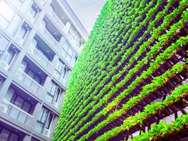 🌿Ready to Elevate Your Farming Know-How? Uncover the Secrets of Vertical Farming! 🌱Explore our treasure trove of knowledge. From cultivating thriving crops in compact spaces to harnessing cutting-edge techniques. 👉 Explore the blog now: buff.ly/3OTTB9n 
#vertiseedfarms