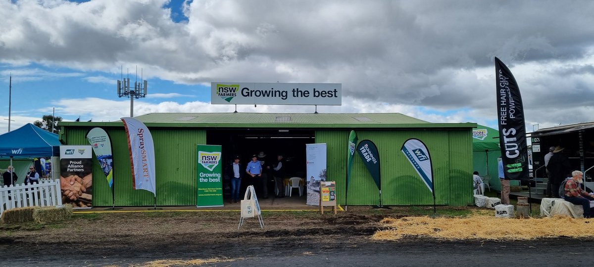 Michael Collins tweet media