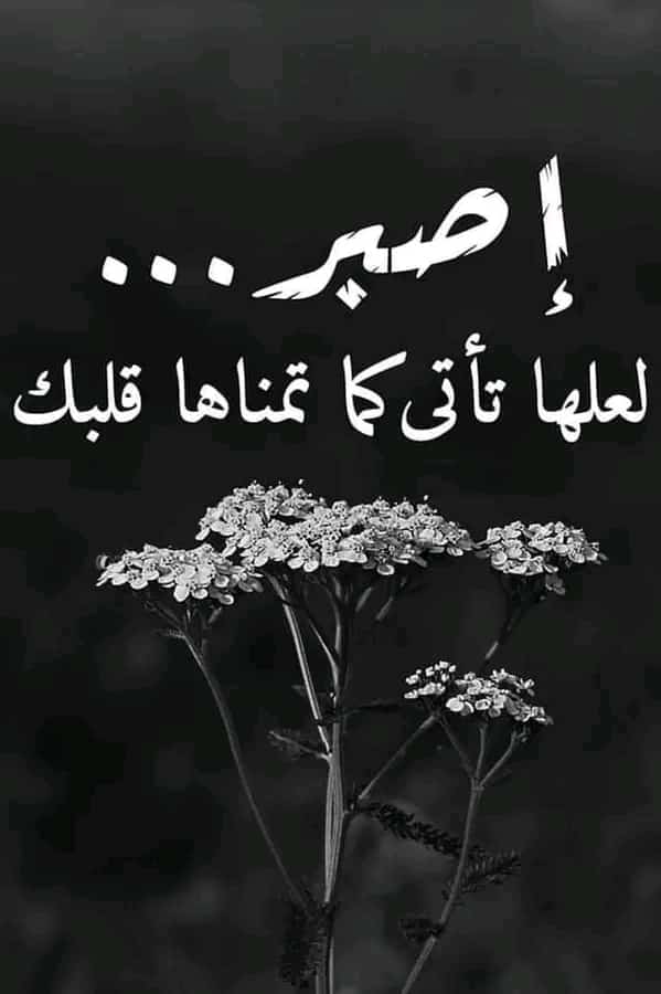 أمسية سعيدة🤍